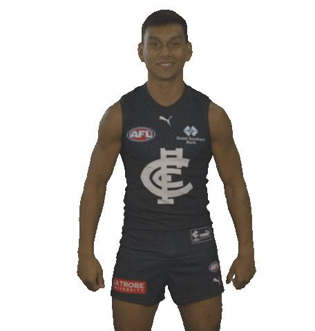 Carlton Fc Yes Sticker by Carlton Football Club