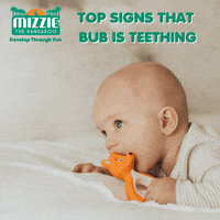 MizzieTheKangaroo  GIF