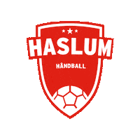 Handball Sticker by Haslum HK