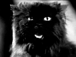 growling beyond the darkness GIF by hoppip