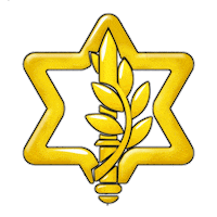Israel Defense Forces Star Sticker by IDF