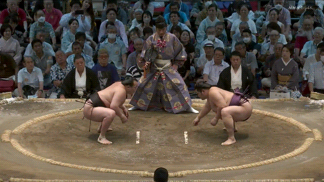 TZ85 giphyupload sumo endo 2023 nagoya basho GIF