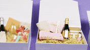 GIF by evite