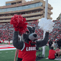 New Mexico Football GIF by UNM