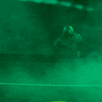 College Football GIF by GoDucks