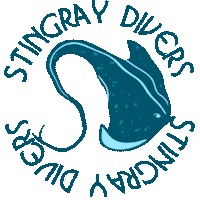 StingrayDivers fish colombia diving raya Sticker