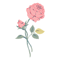 Flower Rose Sticker by Little Planet