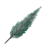 Leaf Sticker by Little Planet
