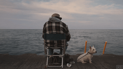 dog man GIF