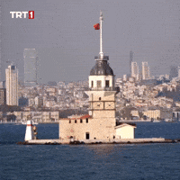 Icon Love GIF by TRT