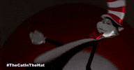 Bill Hader Cat GIF by Warner Bros. Pictures