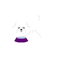 Dog Sticker by Nature's Protection