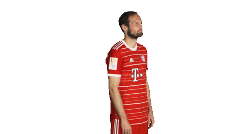 Bayern Sticker by Bundesliga