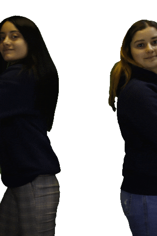 USJescrime giphyupload proud saber fence Sticker