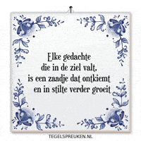 Humor Nl GIF by Tegelspreuken.nl