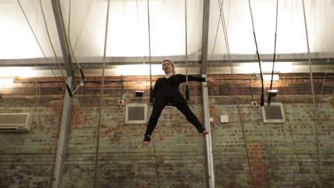 circus fail GIF