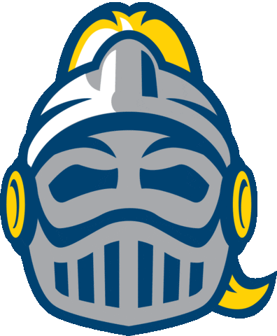 Stars Emoji Sticker by Neumann University