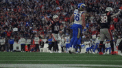 Football Nfl GIF by New England Patriots