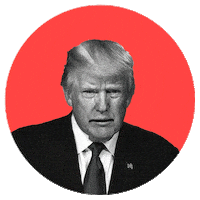 creatorsforkamala creators for kamala creatorsforkamala Sticker