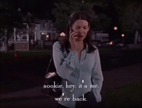 season 2 netflix GIF by Gilmore Girls 