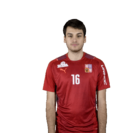 Florbal 2022 Sticker by Český florbal