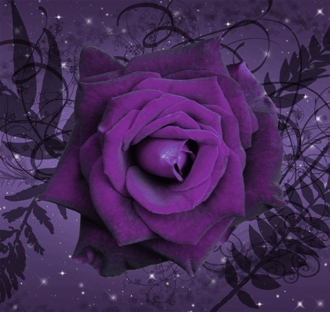 rose GIF