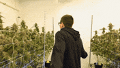 Look Wow GIF by Exclusive Brands