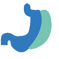 Gastric Sleeve Sticker by Dr. Arayici