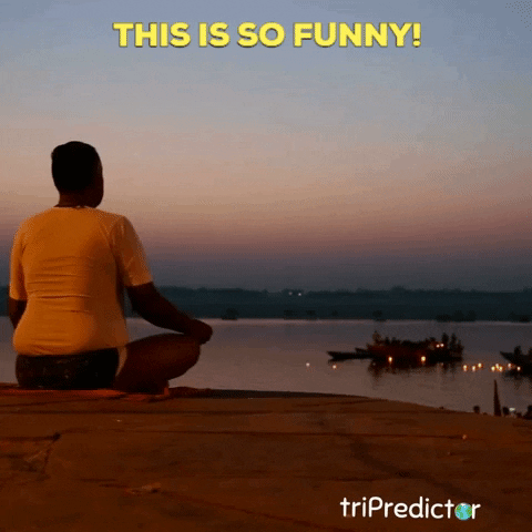 Laugh Laughing GIF by tripredictor