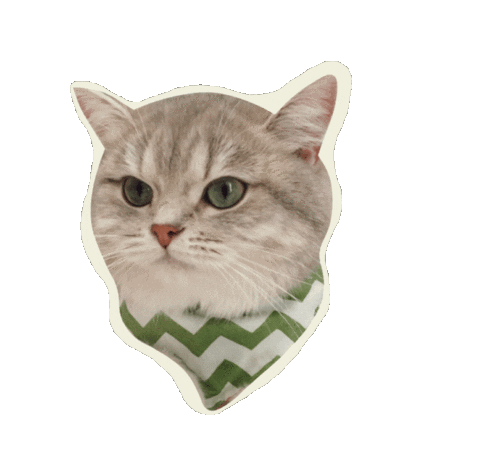 British Shorthair Cat Sticker