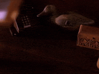 season 2 GIF by Twin Peaks on Showtime