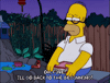 Season 13 Book GIF by The Simpsons