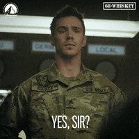 Whatisit Yes GIF by Paramount Network