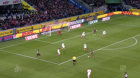 save timo horn GIF by 1. FC Köln