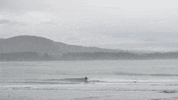 new zealand australia GIF by Flume