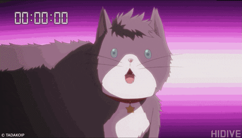 In Love Cat GIF by HIDIVE