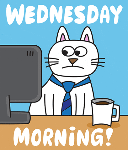 Sleepy Wednesday Morning GIF by joeyahlbum