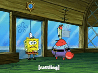 season 6 gullible pants GIF by SpongeBob SquarePants