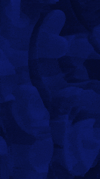 Storys - Fondo