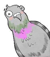 Wink Pigeon Sticker