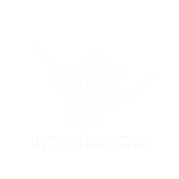 Sticker by ATELIER BALICORNE
