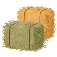 Trail Hay Sticker