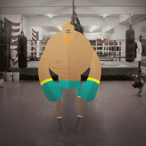 animation boxing GIF by alain