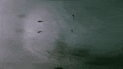explode nuclear explosion GIF by South Park 