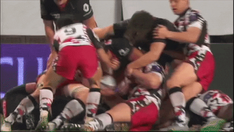 Lion Roar GIF by FCG Rugby