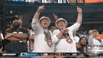 National Football League GIF by NFL