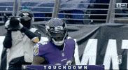 Regular Season Football GIF by NFL