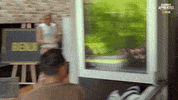 Surprise React GIF by Celebrity Apprentice Australia