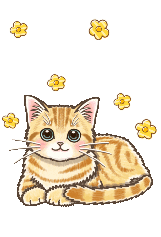 Cat Sticker