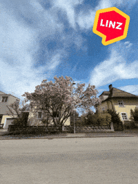 Spring Love GIF by Linz News
